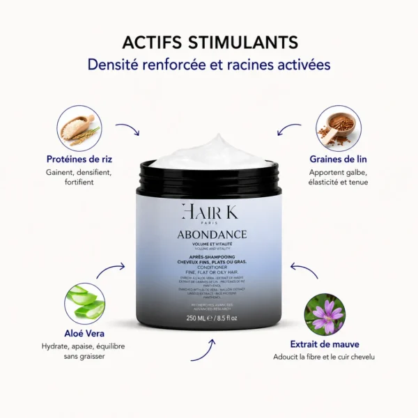 Infographie des actifs du masque Abondance Hair K Paris présentant les ingrédients fortifiants et volumateurs aidant à apporter densité, vitalité et matière aux cheveux fins ou plats.