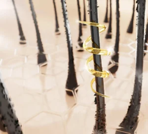 رسم تخطيطي يوضح كيف يغذي كيرل هير كيه باريس ألياف الشعر المجعد